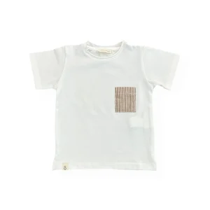 T-shirt taschino riga noce